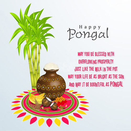 Happy Pongal